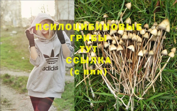 Альфа ПВП Абдулино