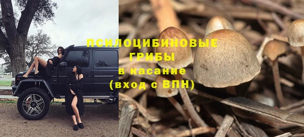 мет Абинск