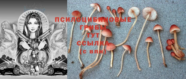 сатива Абаза